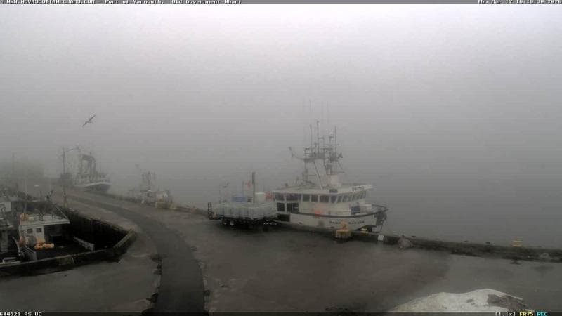 Old Government Wharf