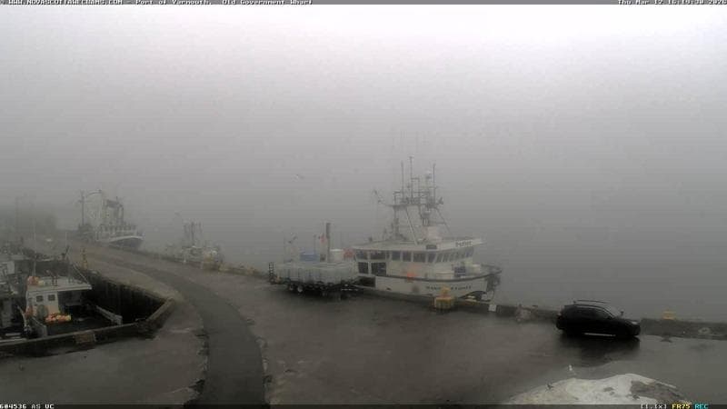 Old Government Wharf