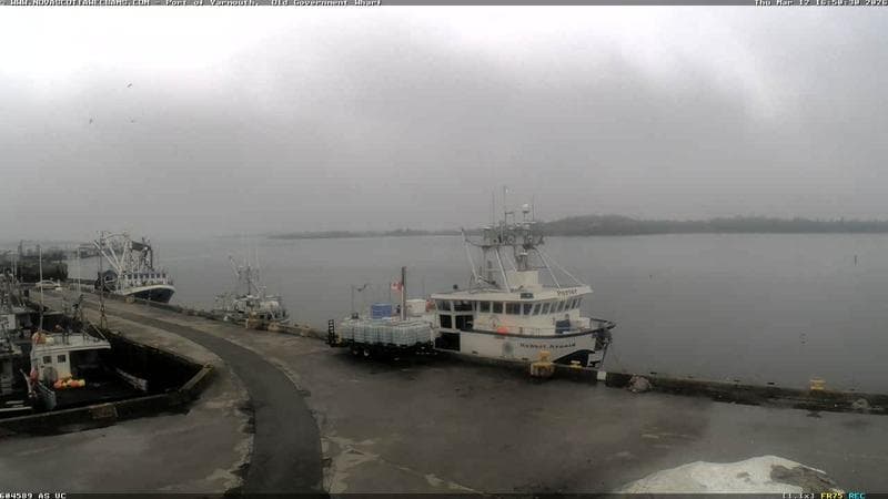 Old Government Wharf