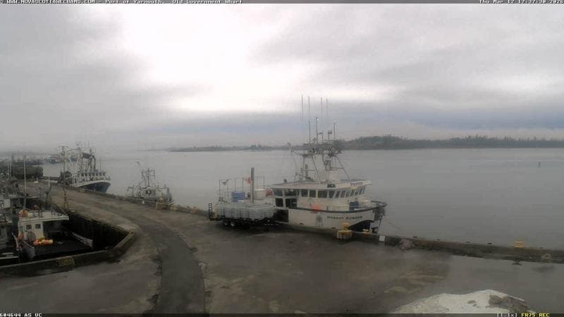 Old Government Wharf