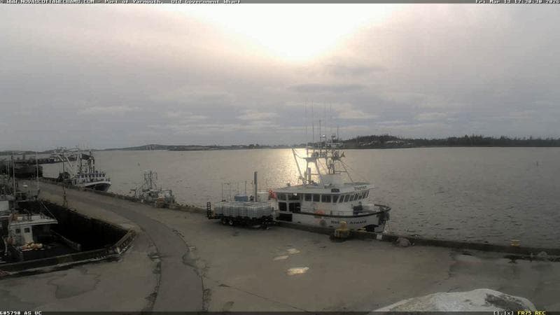 Old Government Wharf