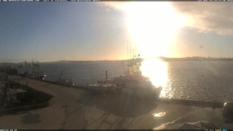 Old Government Wharf