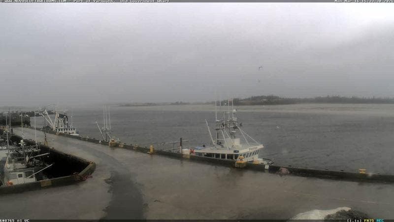 Old Government Wharf