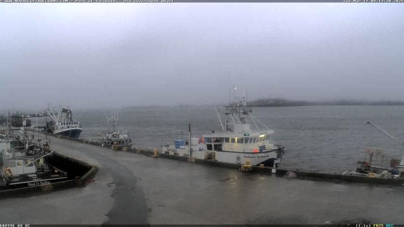 Old Government Wharf