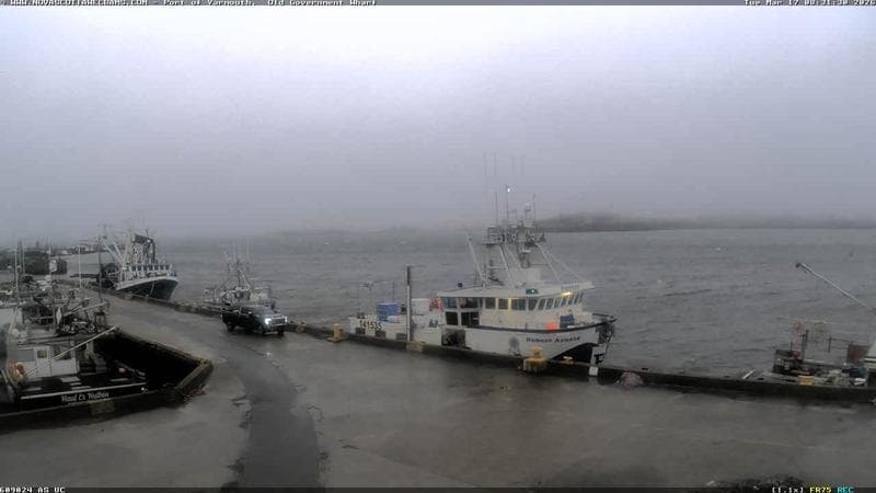 Old Government Wharf