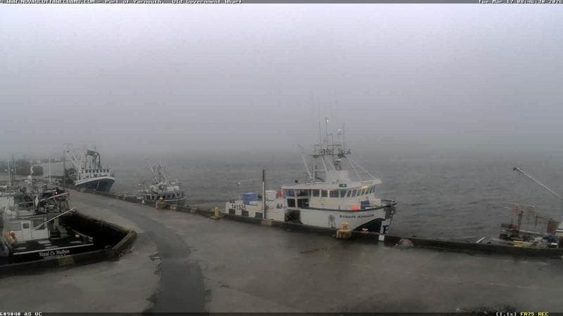 Old Government Wharf