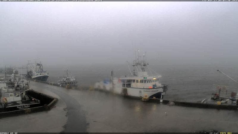 Old Government Wharf