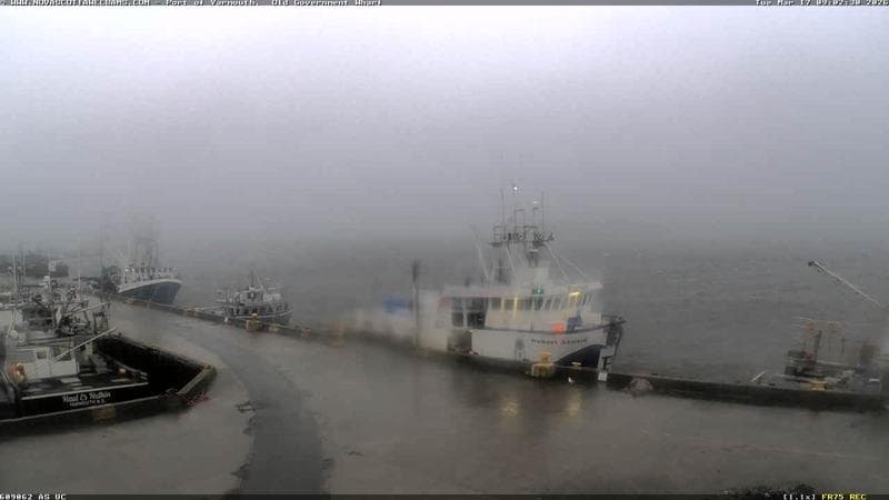 Old Government Wharf