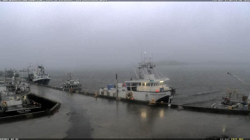 Old Government Wharf