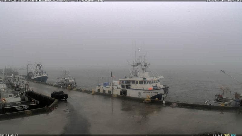 Old Government Wharf