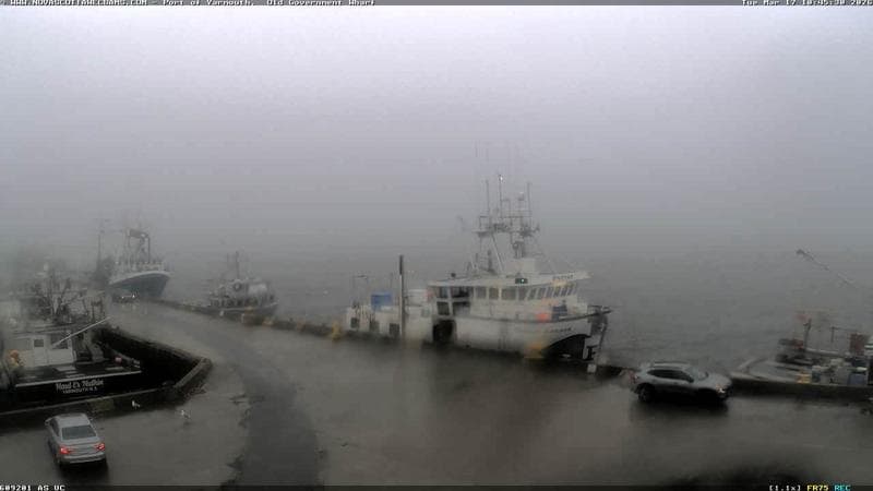 Old Government Wharf