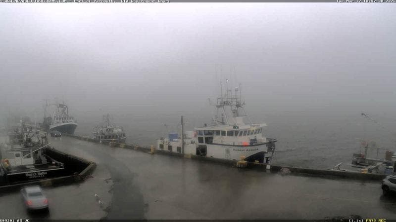 Old Government Wharf