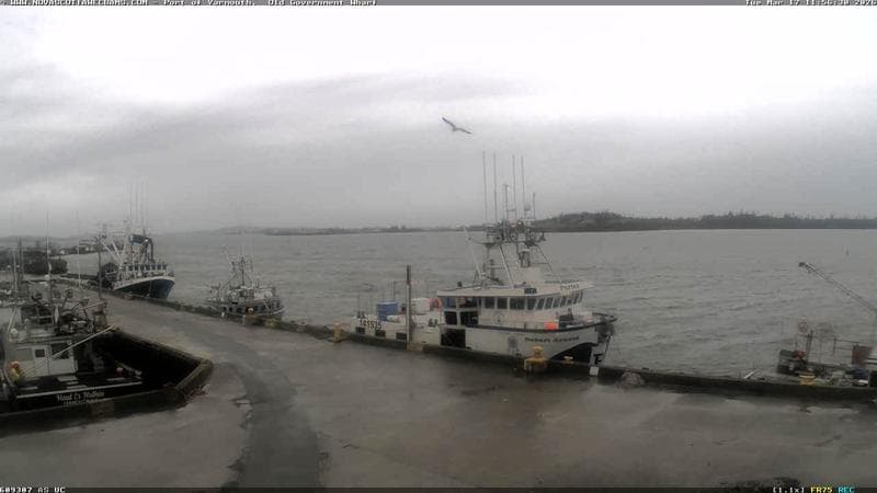 Old Government Wharf