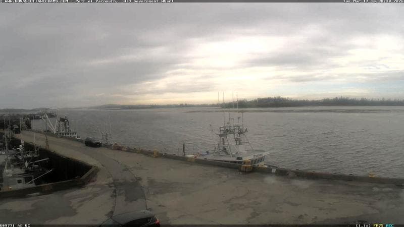 Old Government Wharf