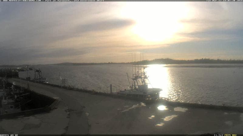 Old Government Wharf