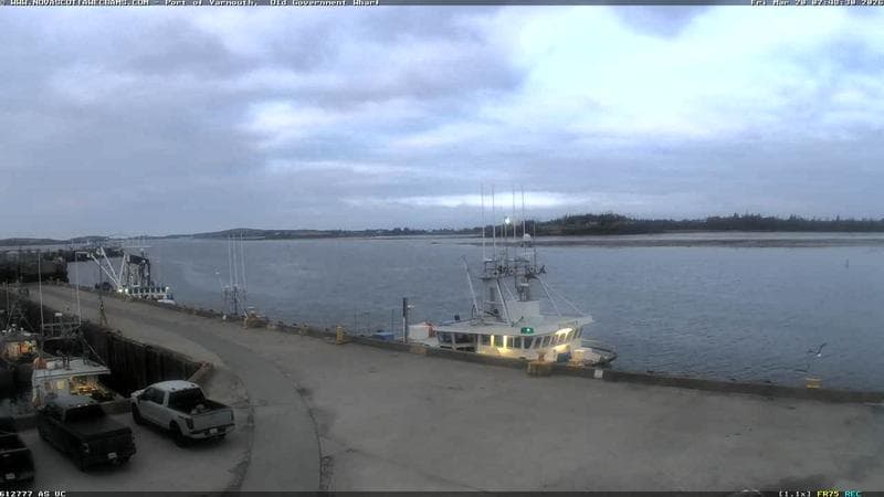 Old Government Wharf