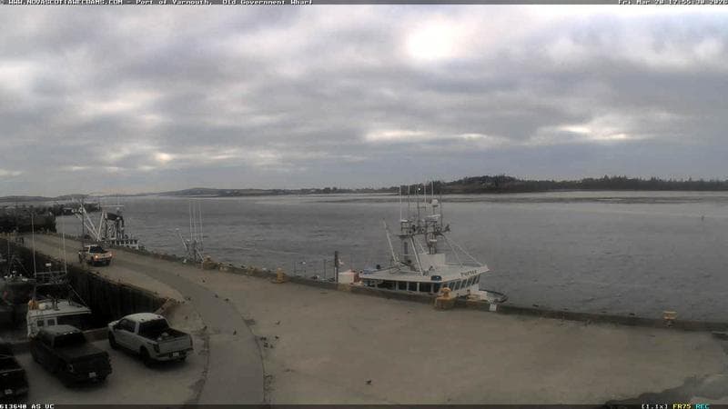 Old Government Wharf