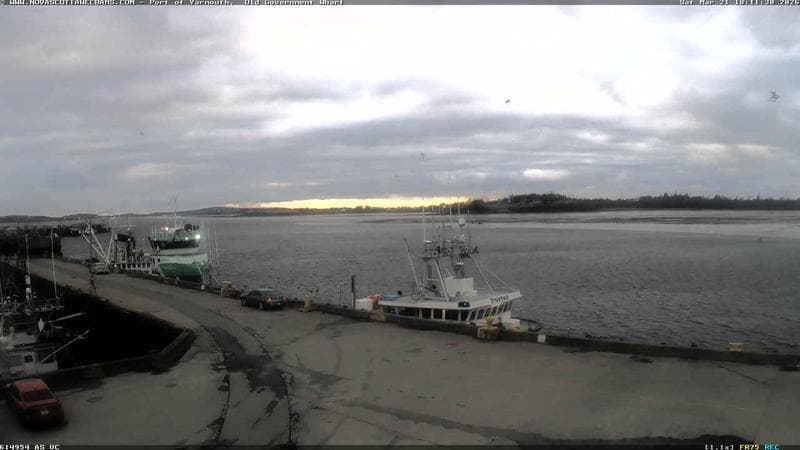 Old Government Wharf