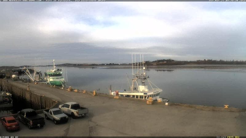 Old Government Wharf