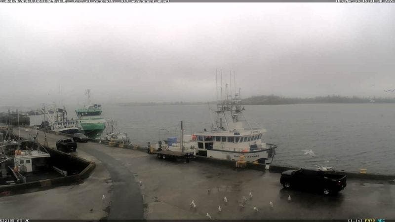 Old Government Wharf