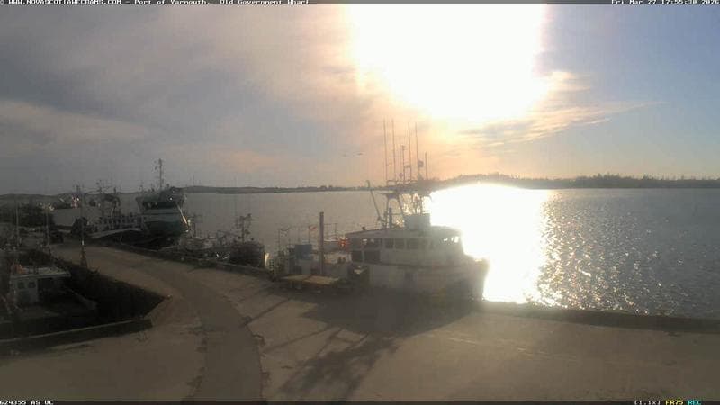 Old Government Wharf