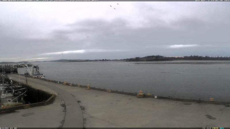 Old Government Wharf