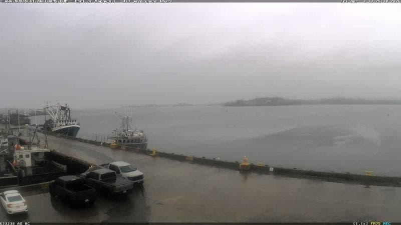 Old Government Wharf