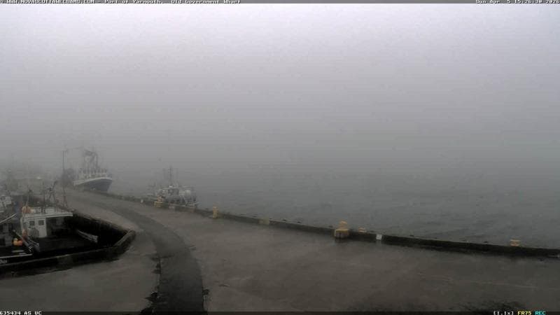 Old Government Wharf