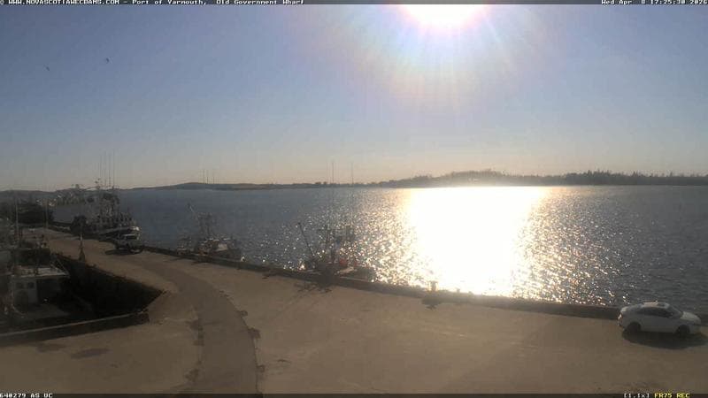 Old Government Wharf