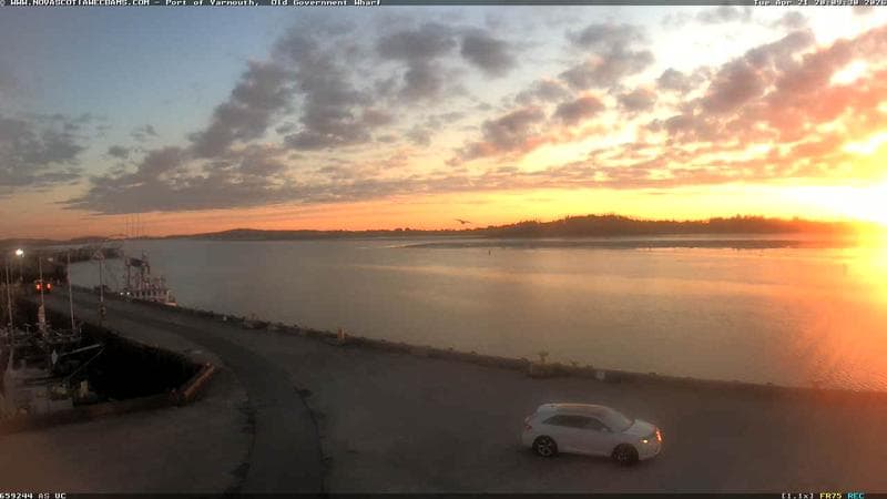 Old Government Wharf