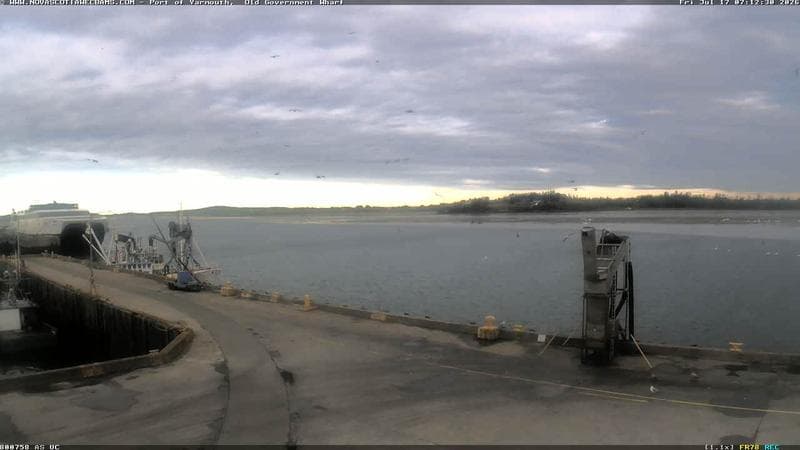 Old Government Wharf