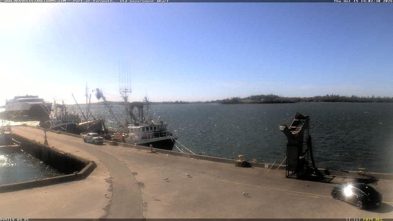 Old Government Wharf