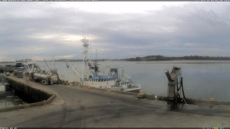 Old Government Wharf
