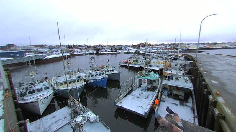 Lobster Rock Wharf East