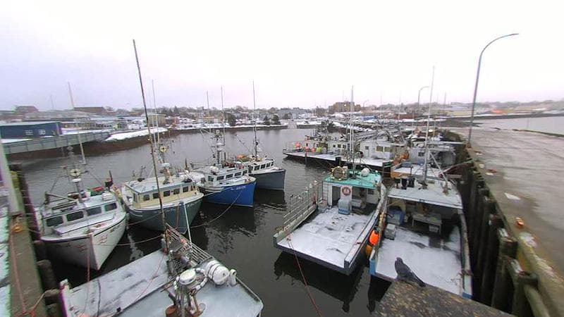 Lobster Rock Wharf East