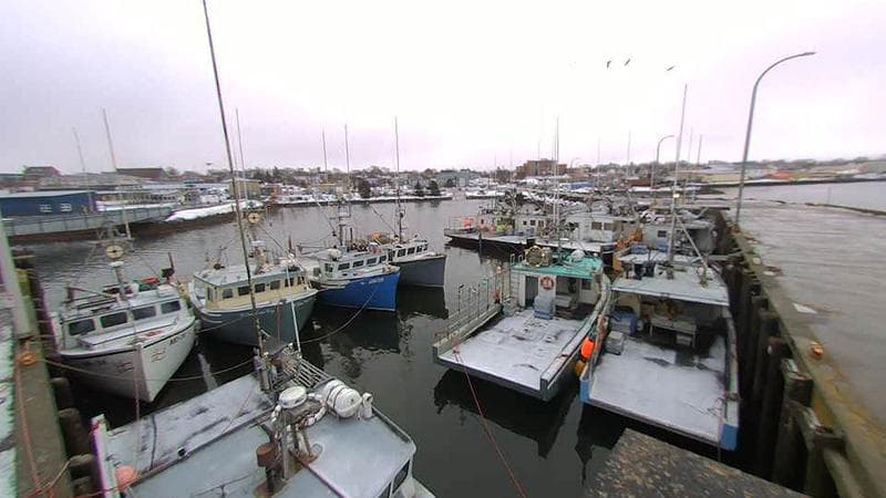 Lobster Rock Wharf East