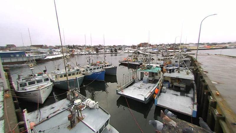 Lobster Rock Wharf East
