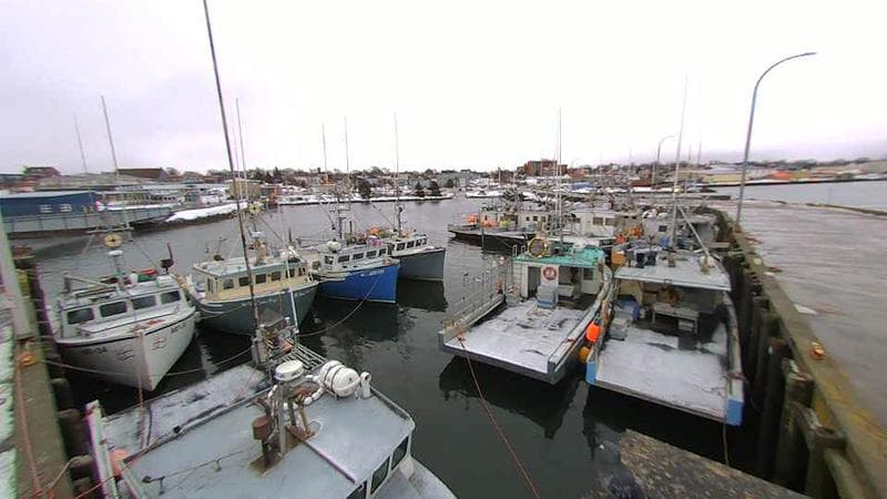 Lobster Rock Wharf East