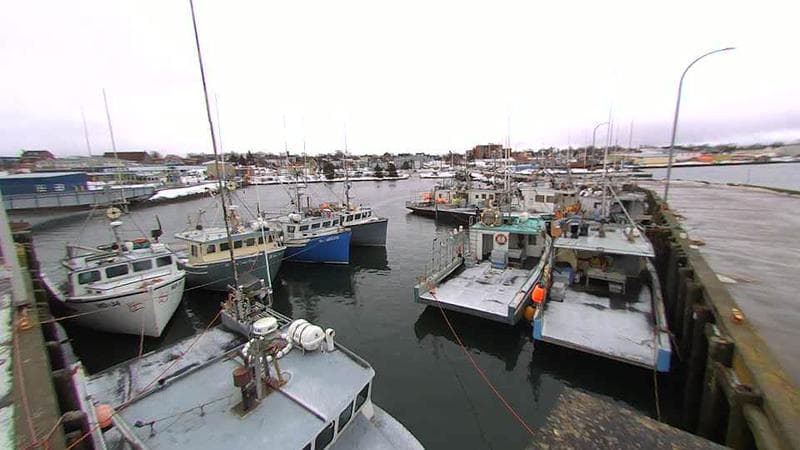 Lobster Rock Wharf East