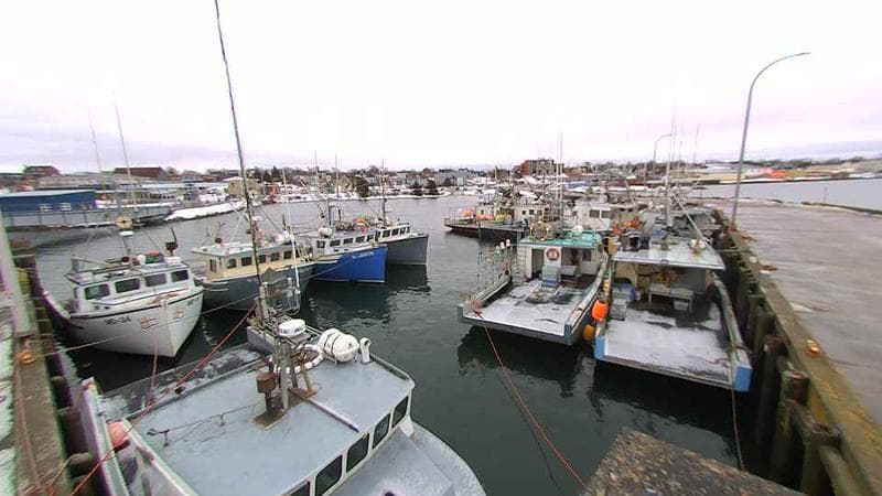 Lobster Rock Wharf East