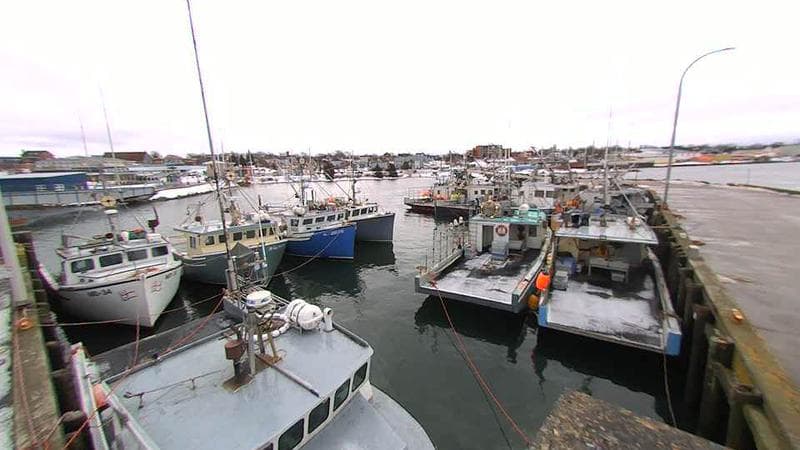 Lobster Rock Wharf East
