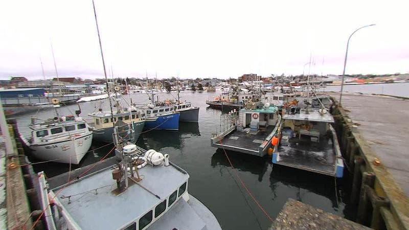 Lobster Rock Wharf East