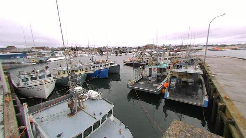 Lobster Rock Wharf East