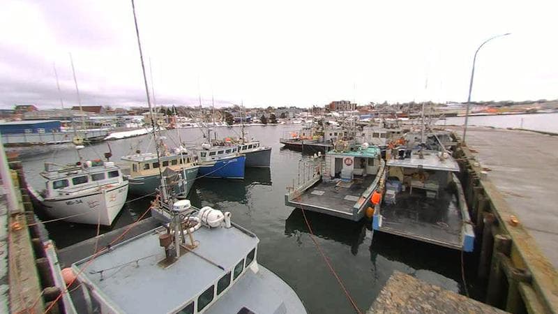 Lobster Rock Wharf East