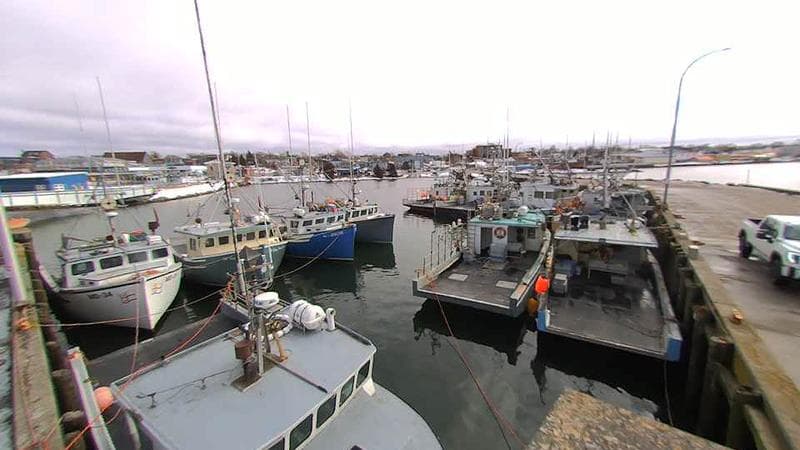 Lobster Rock Wharf East