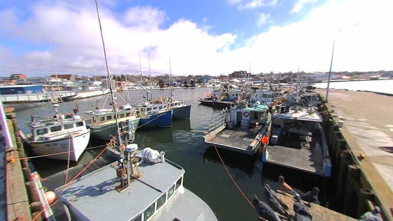 Lobster Rock Wharf East