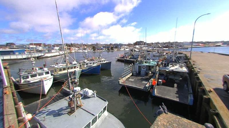 Lobster Rock Wharf East