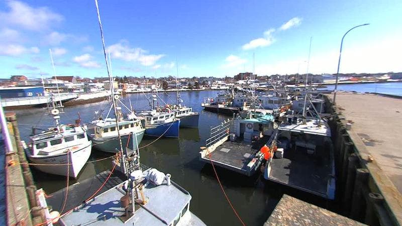 Lobster Rock Wharf East