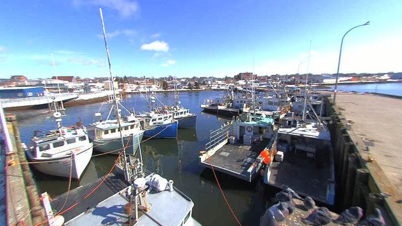 Lobster Rock Wharf East