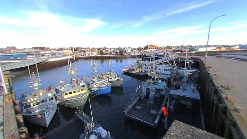 Lobster Rock Wharf East
